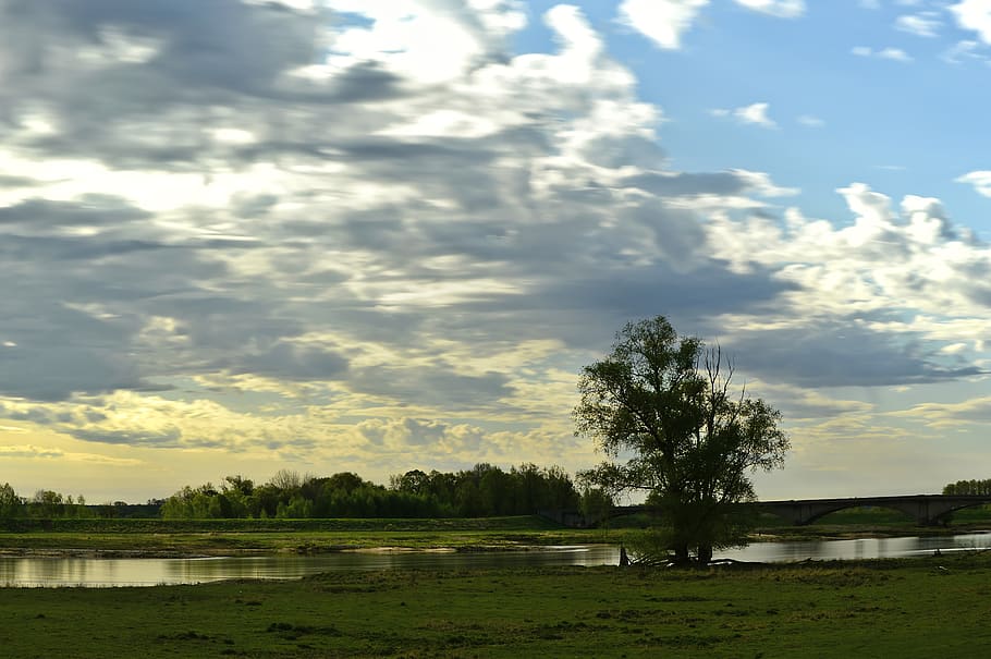 river, landscape, river landscape, aue, depression, meadow HD wallpaper