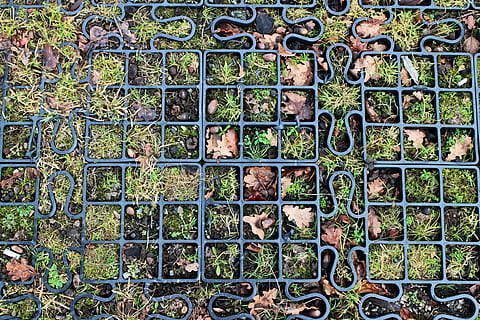 module, share, items, wash, mosaic, photo mosaic, puzzle, lawn grid HD wallpaper