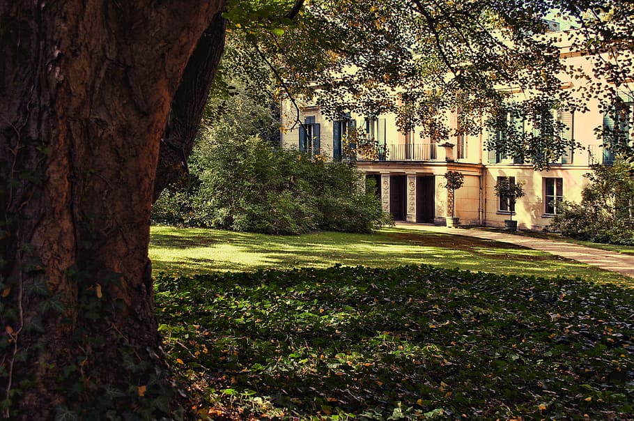 park, trees, away, garden, castle, castle park glienecke, deciduous tree HD wallpaper