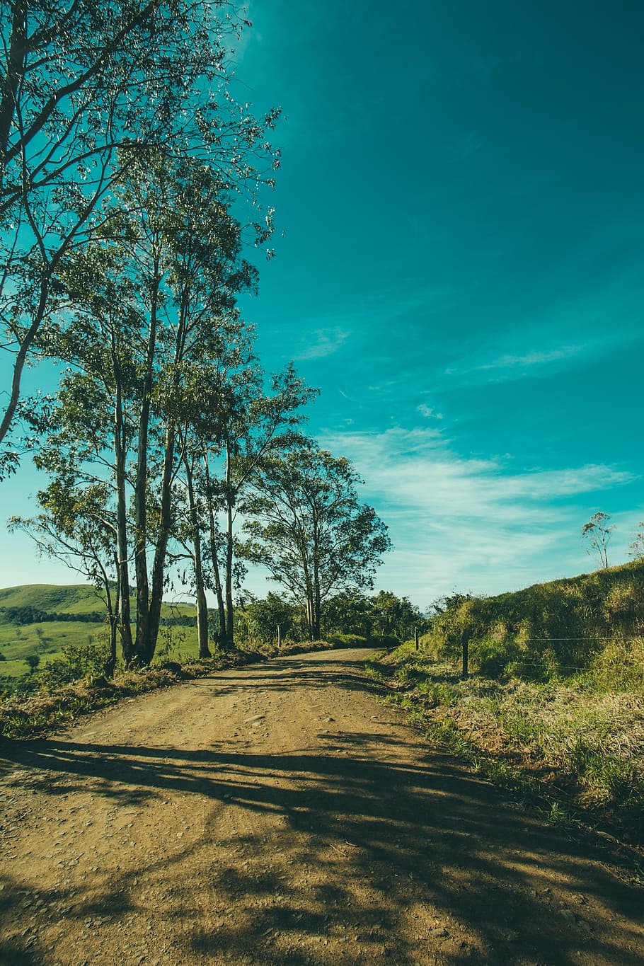green leafed trees, landscape, outdoors, sky, forest, nature HD wallpaper
