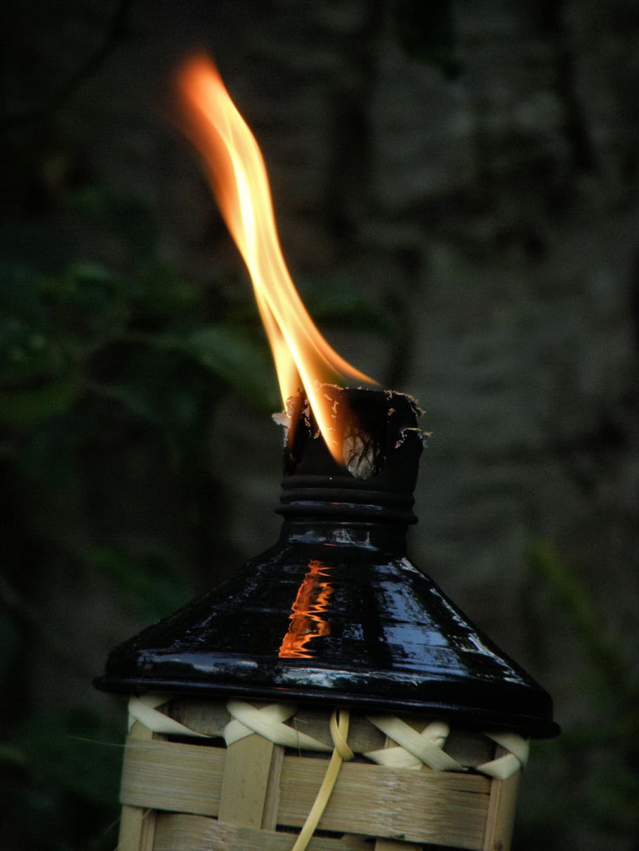 flame, candle, light, fire, burning, fire - natural phenomenon HD wallpaper