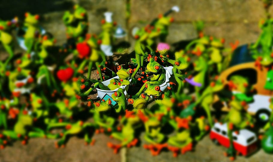frogs, many, group, collection, cute, sweet, mass, funny, growth HD wallpaper