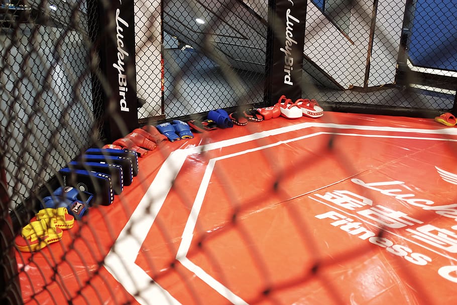 boxing, weights, sanda, high angle view, day, architecture HD wallpaper