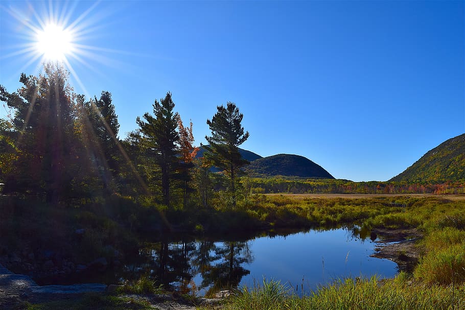 trees, sun, pond, reflection, nature, landscape, water, sky HD wallpaper