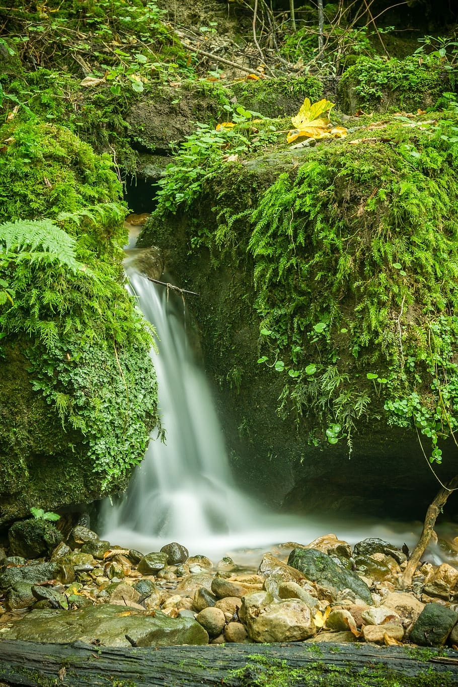 waterfall, bach, nature, waters, forest, murmur, rock, cascade HD wallpaper
