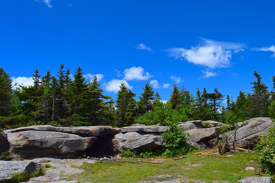 Mountainside, Clouds, Trees, Rocks, Pine, landscape, nature HD wallpaper