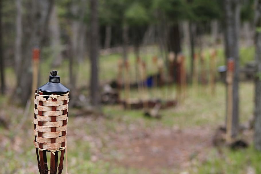 torch, fire, woods, flame, day, focus on foreground, nature HD wallpaper