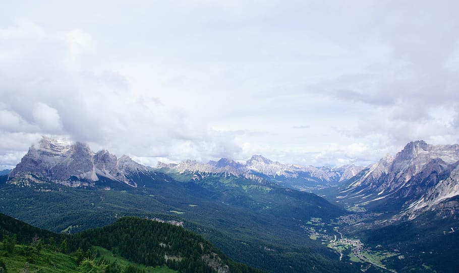 alpine, cloud, fog, forest, high, high angle shot, hike, hill HD wallpaper
