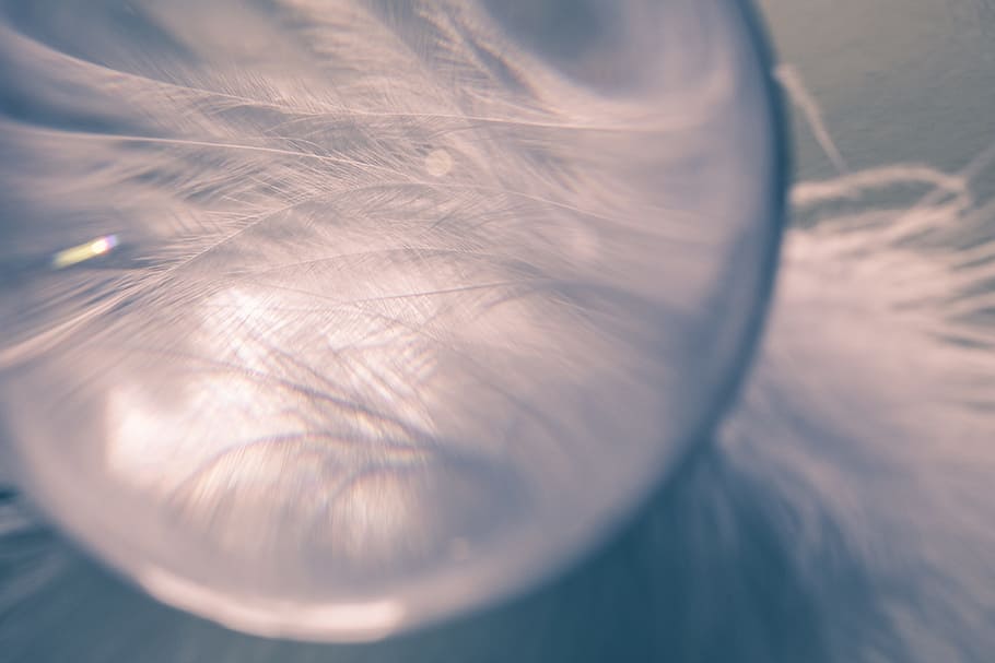 glass ball, feather, ease, airy, spring dress, bird feather HD wallpaper