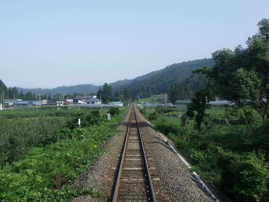 train, track, countryside, rail transportation, plant, railroad track HD wallpaper