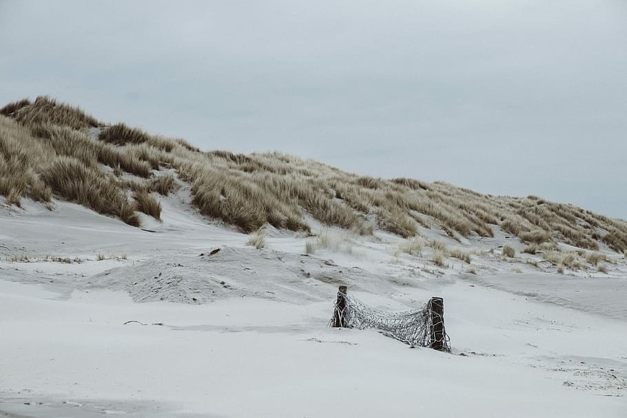 snow covered field, photo of white sand under white sky, hill HD wallpaper