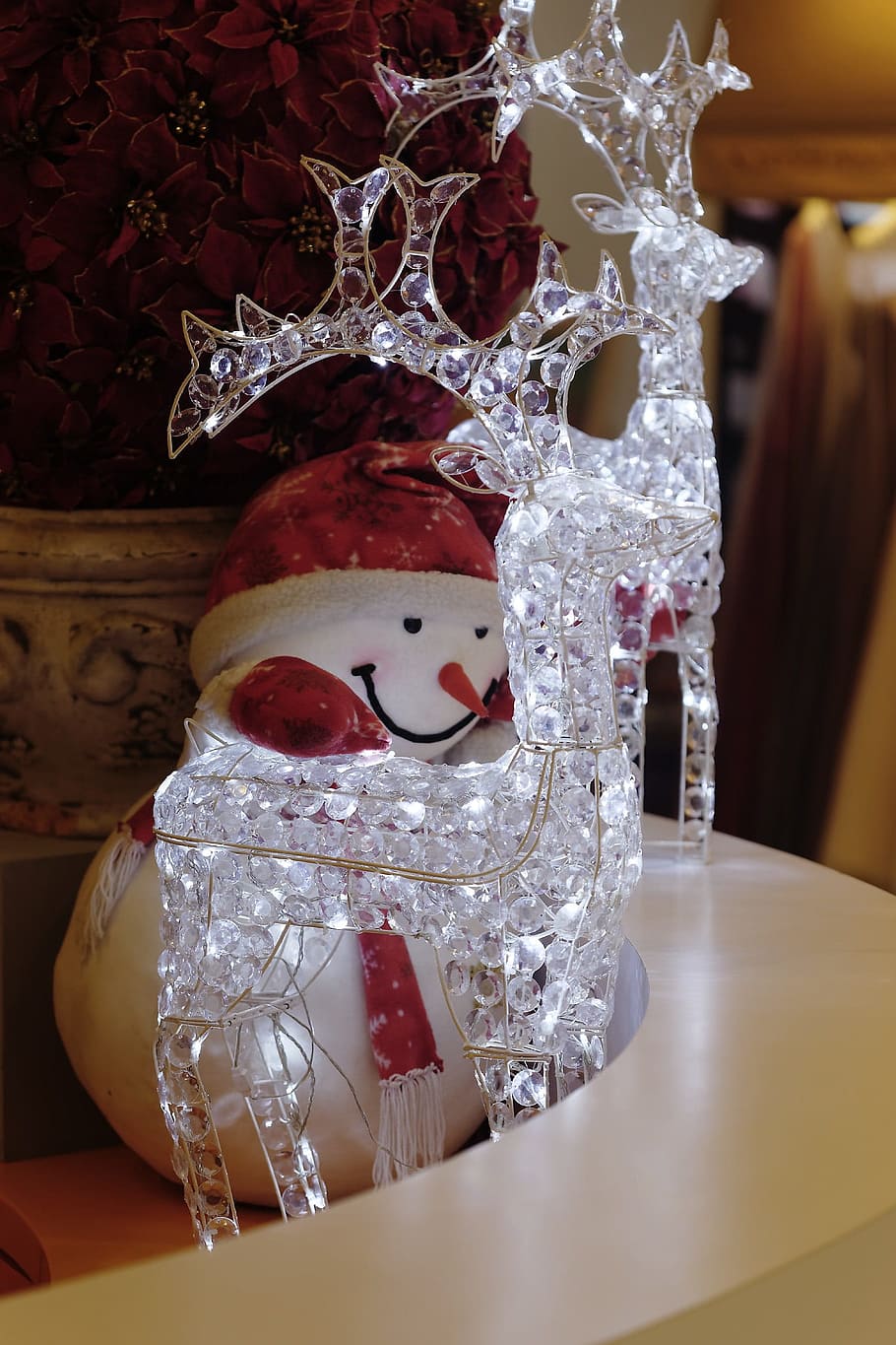 xmas, led, transparency, deer, illuminated, winter, bright HD wallpaper