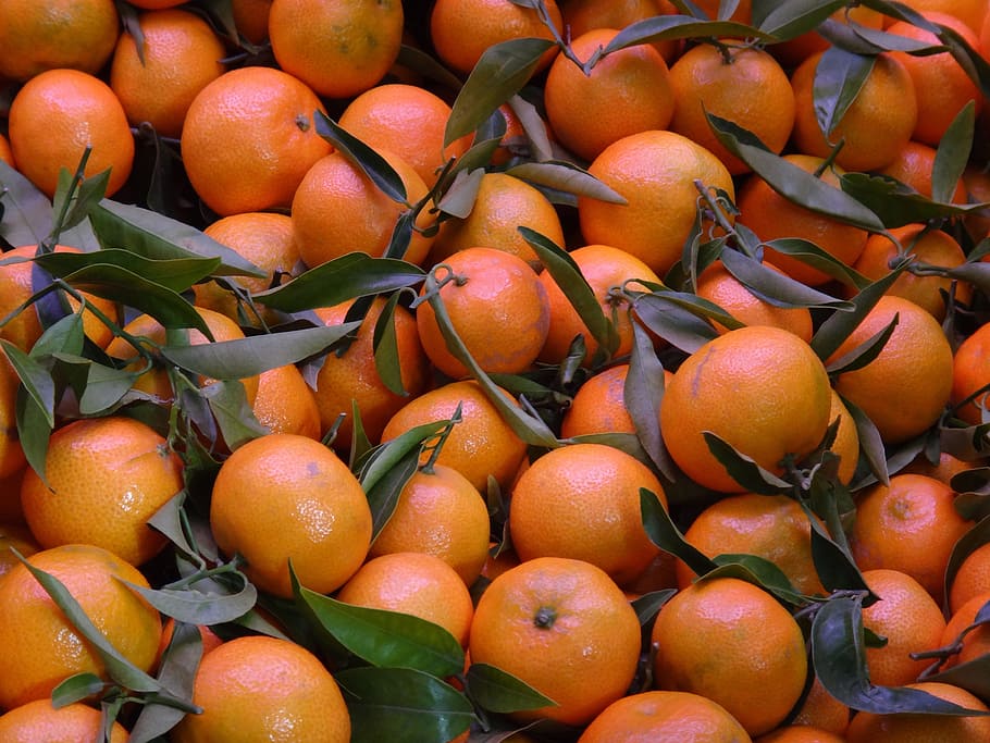 fruit, mandarins, orange, food, healthy eating, food and drink HD wallpaper