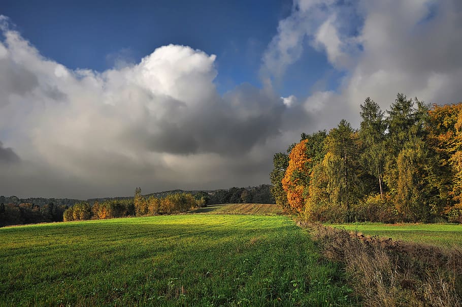 photo of green grass field, landscape, nature, clouds, forest HD wallpaper