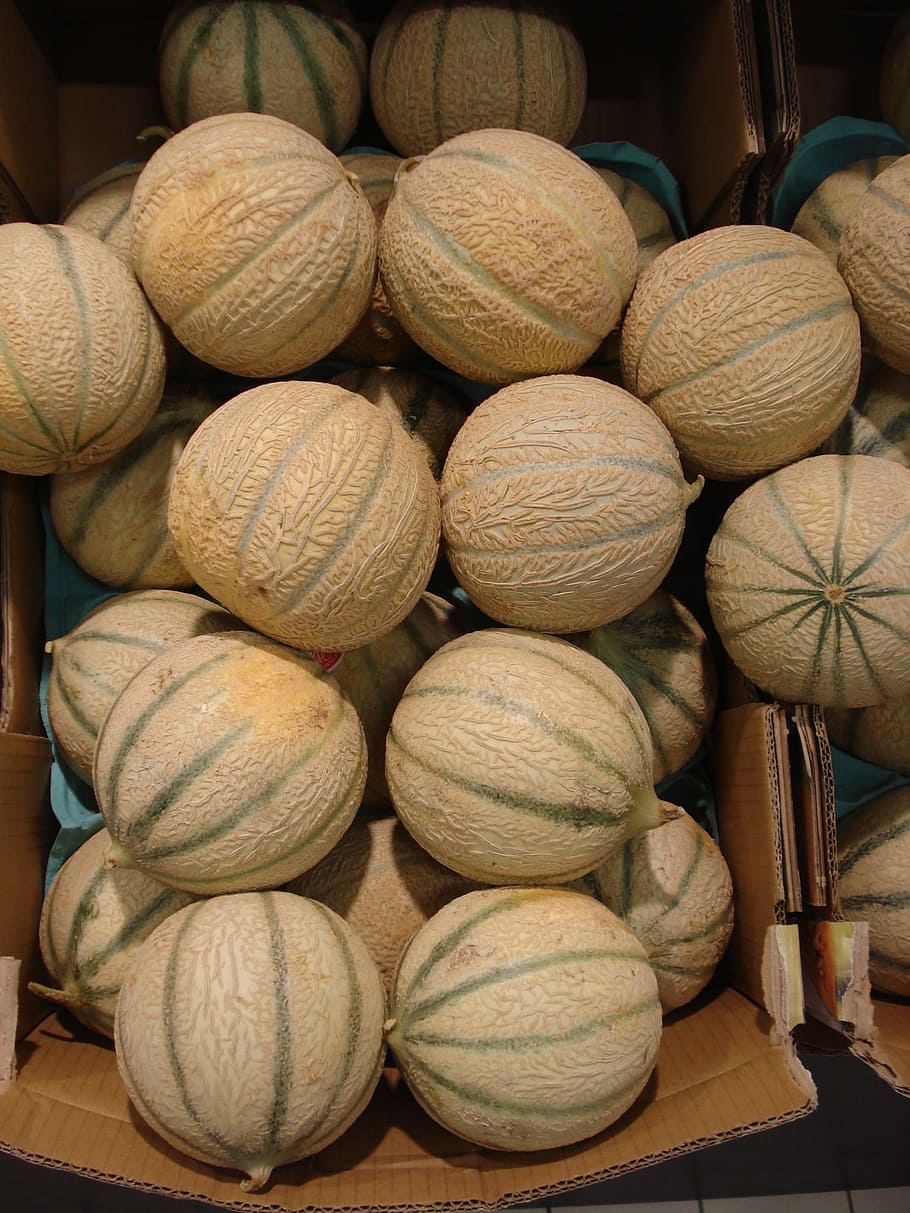 melon, fruit, food, power, cavaillon, lectoure, bulk, primeurs HD wallpaper
