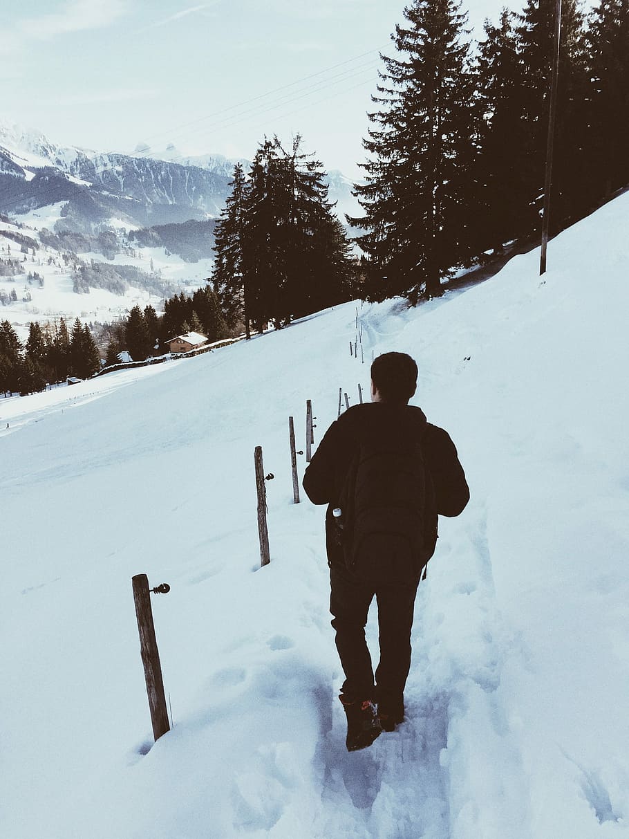 man wearing a backpack walking on snow, man standing near trees HD wallpaper