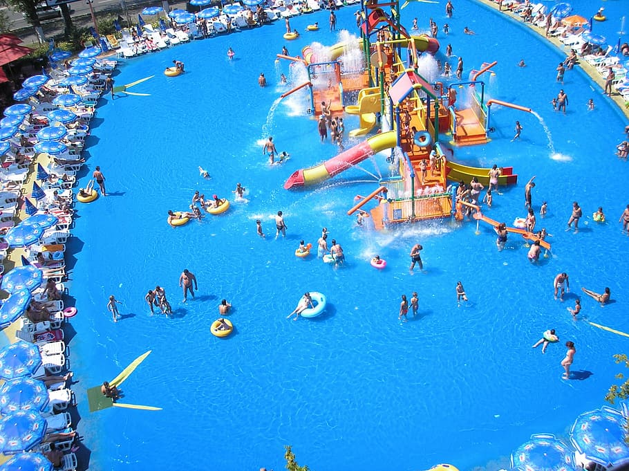 aerial photography of people in swimming pool, amusement, aqua HD wallpaper
