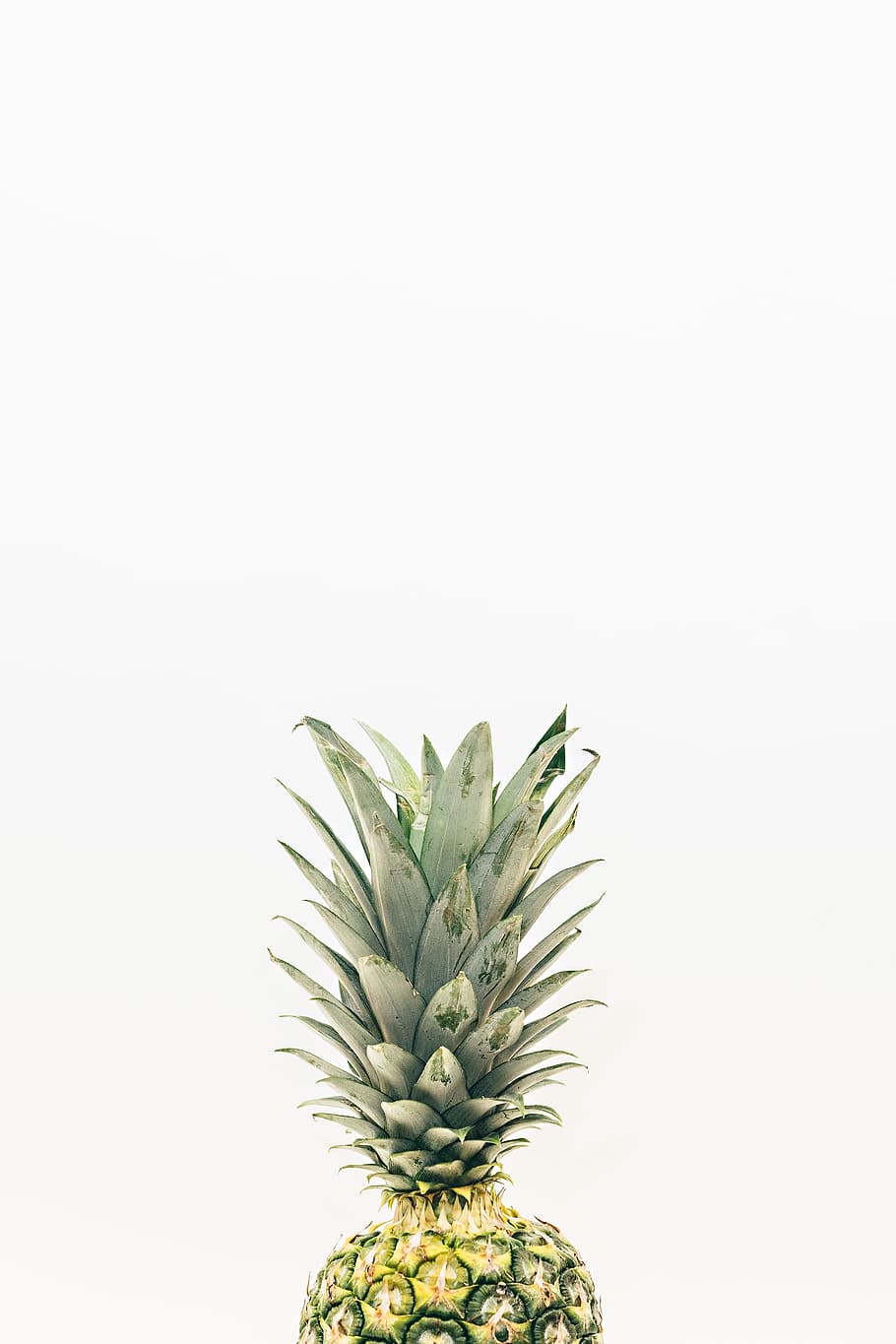 green pineapple fruits, dessert, appetizer, juice, food, studio shot HD wallpaper