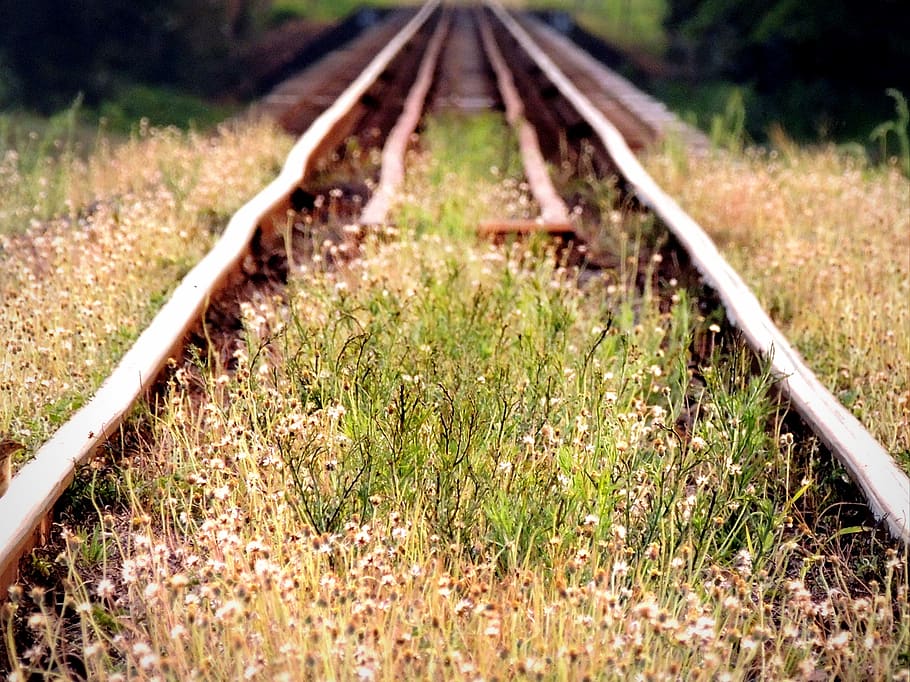 railway, lines, railroad, steel, distance, old, disuse, abandoned, HD wallpaper