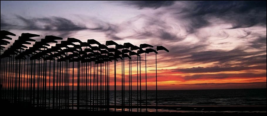 flags, north sea, flagpoles, flutter, hoisted, blow, evening sky HD wallpaper