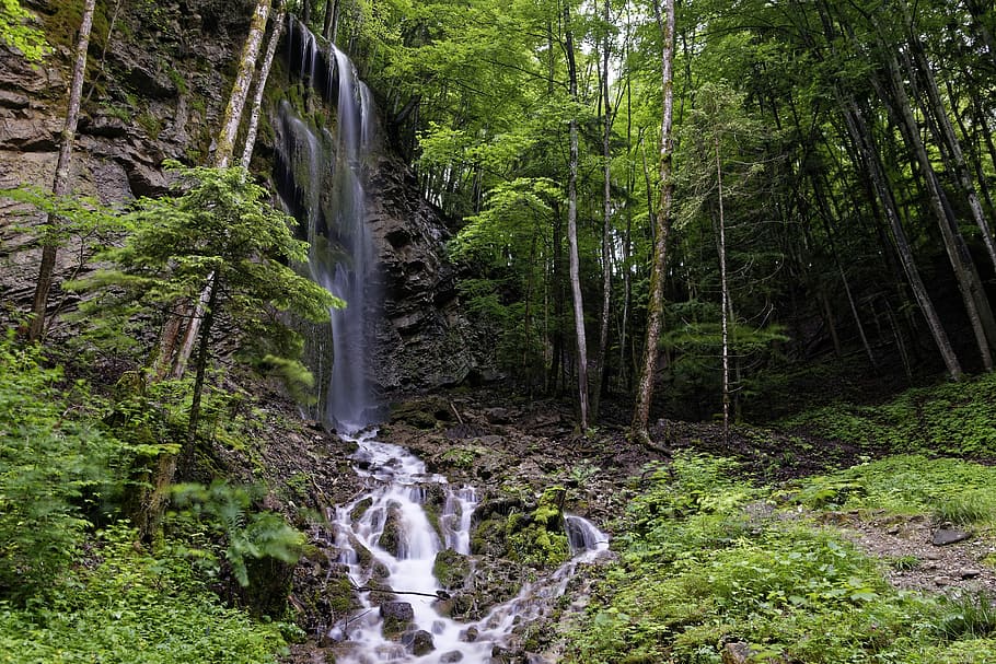 Waterfall, Nature, Forest, scenics, tree, beauty in nature HD wallpaper
