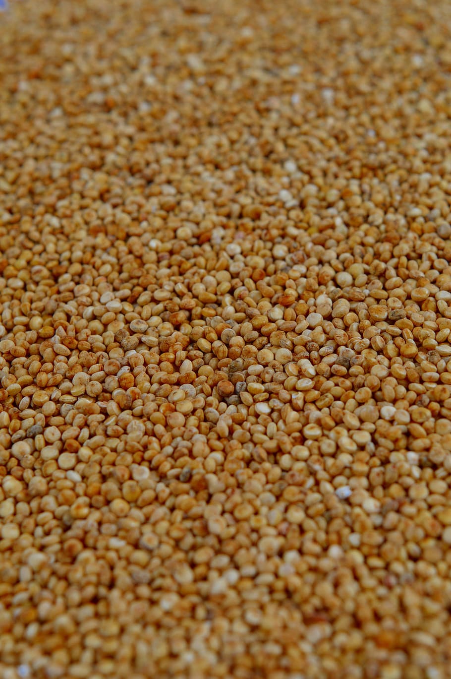brown grains, quinoa, plenty, cereal, food, ingredient, fiber, HD wallpaper