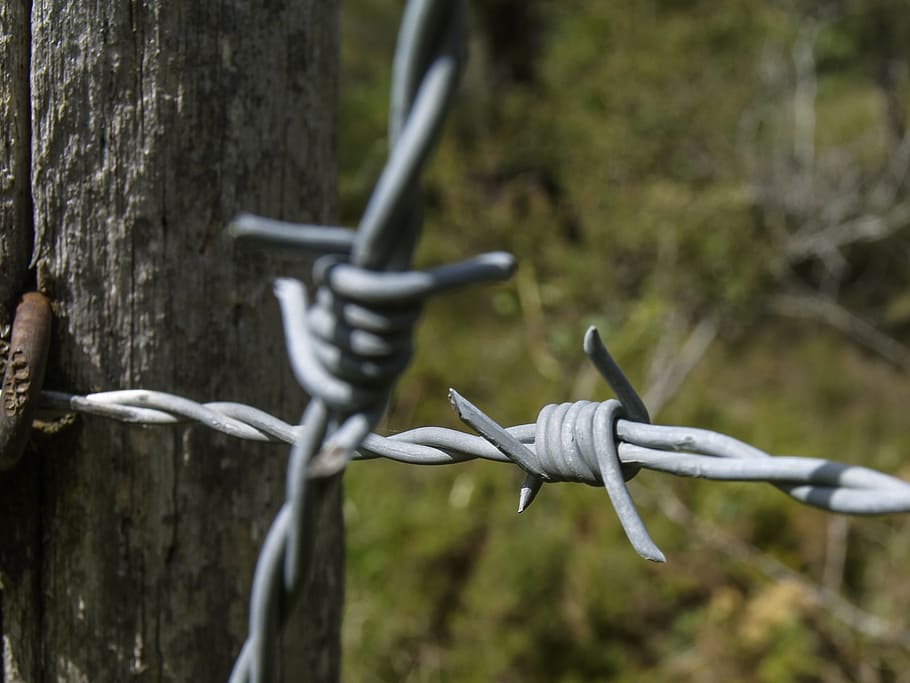 metal, wired, barbed, security, fence, barbed wire, safety HD wallpaper