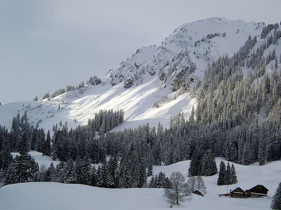 wintry, mountain, switzerland, winter, cold, snow, sunshine HD wallpaper