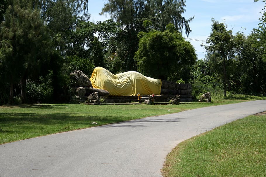 buddha statue, street, plant, transportation, road, nature HD wallpaper