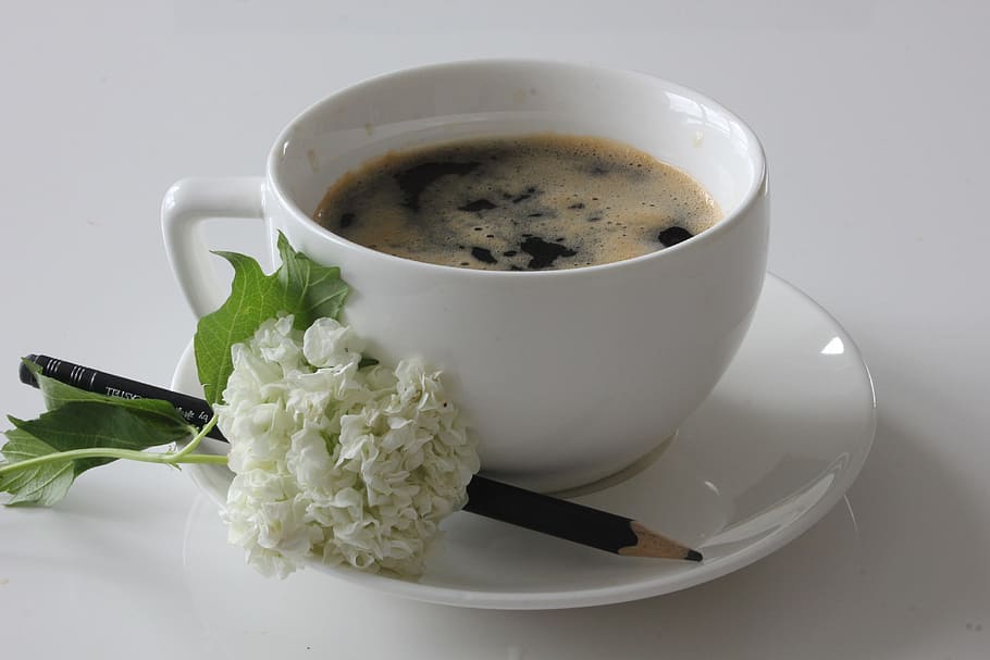 Coffee, Flower, Still Life, Vintage, pencil, drink, food and drink, HD wallpaper