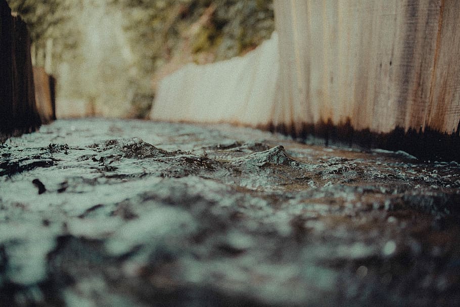 low-angle photo of mud, wall, wood, river, water, creek, selective focus HD wallpaper