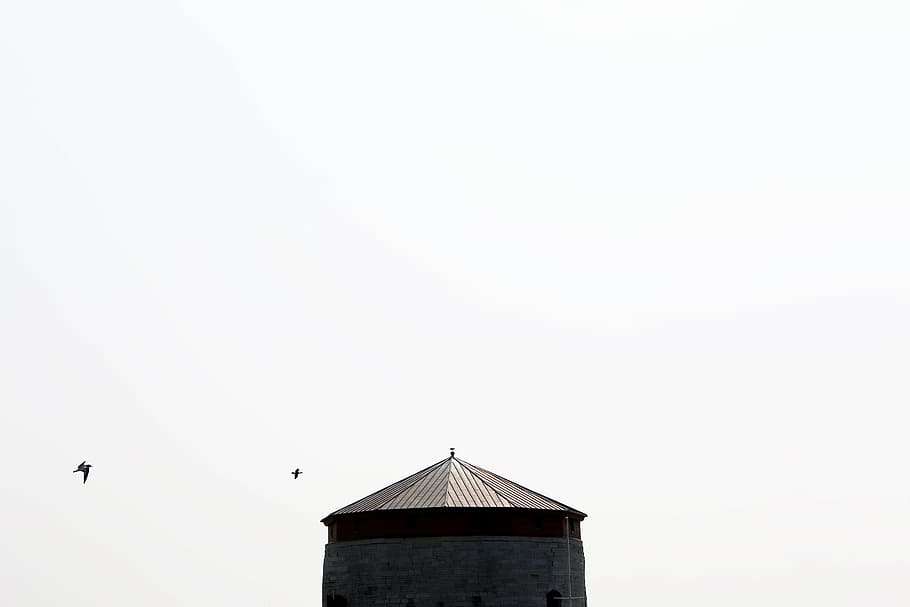 gray and brown gazebo, roof, black, wall, white, sky, birds HD wallpaper