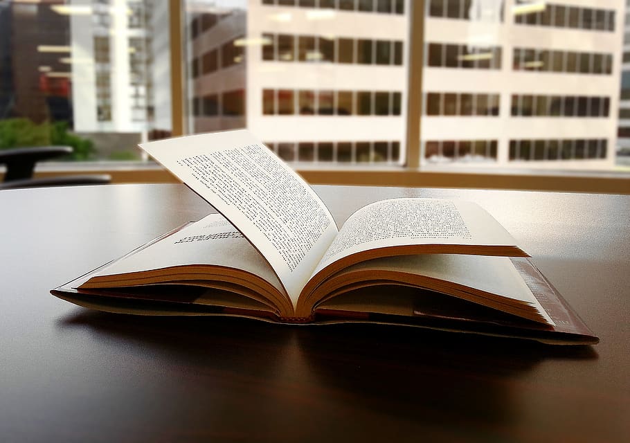 book, read, reading, reading book, education, publication, open HD wallpaper