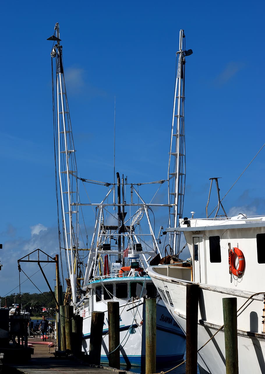 commercial fishing nets, shrimp nets, business, industry, boat