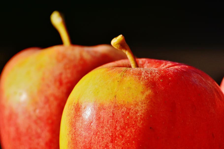 apple, fruit, delicious, vitamins, fruits, healthy, sweet, food and drink HD wallpaper