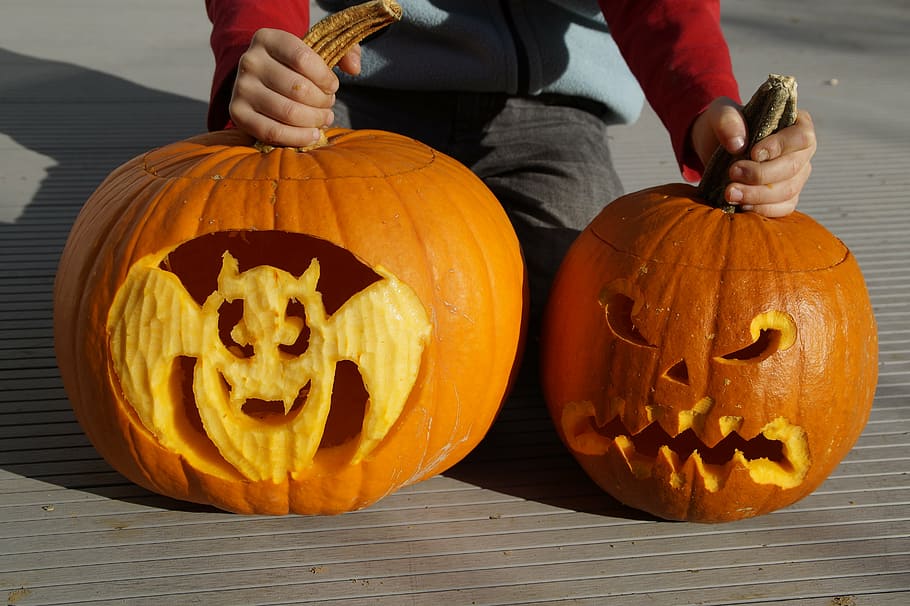 bat, halloween, pumpkin, pumpkin ghost, carved, art, artfully HD wallpaper