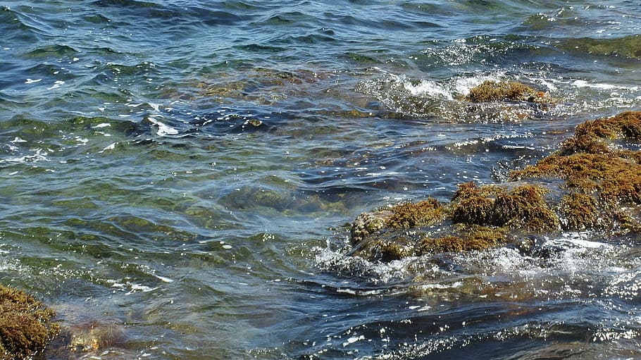 wave, more, water, holiday, sea, nature, beach, coastline, motion HD wallpaper
