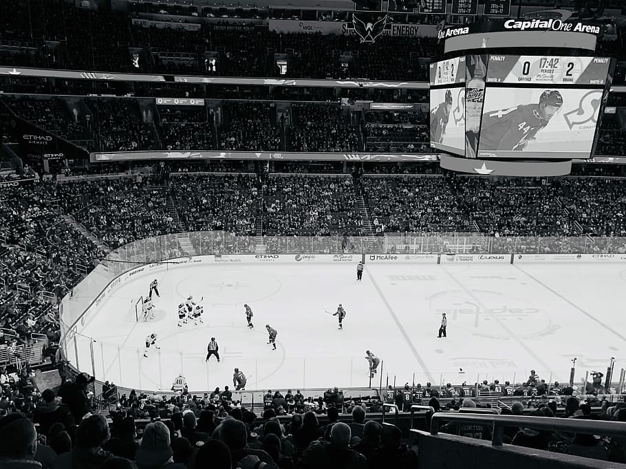 ice hockey game, ice rink, sport, crowd, group of people, large group of people