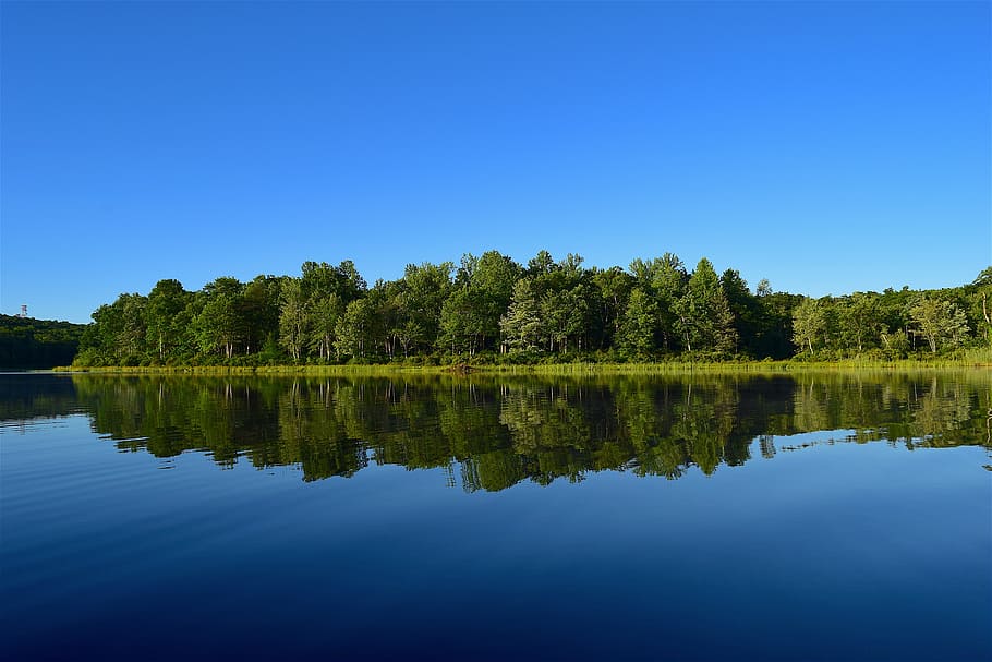 lake, forest, trees, water, reflection, nature, landscape, summer HD wallpaper