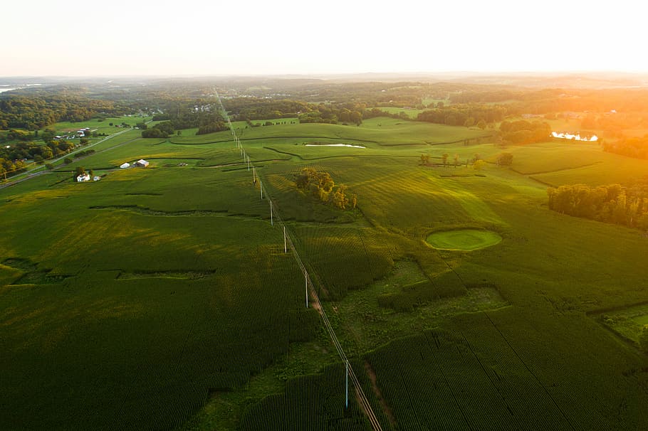 aerial photography of green field, grassland during daytime, light HD wallpaper