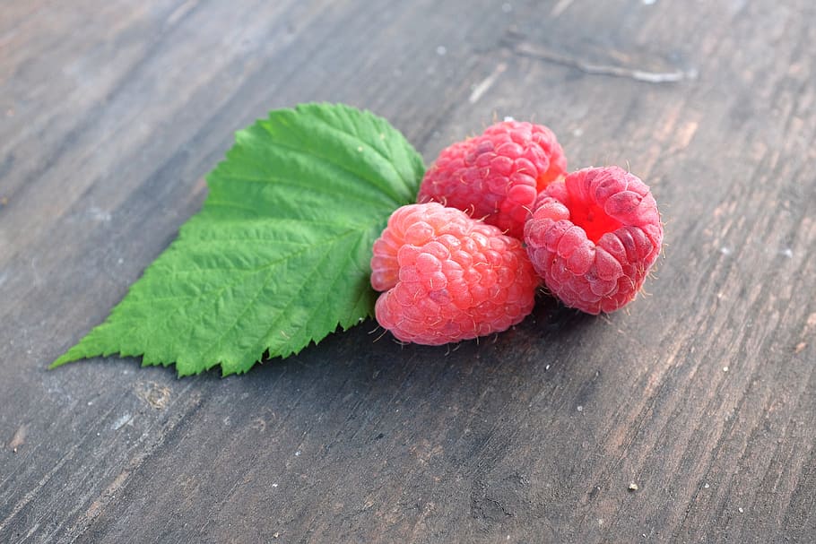 raspberry, fruit, garden, letter, food and drink, healthy eating HD wallpaper