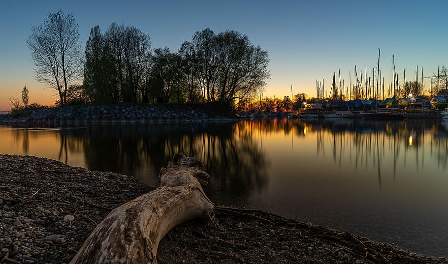 lake and leafed trees, reflection, waters, sunset, log, drift wood HD wallpaper