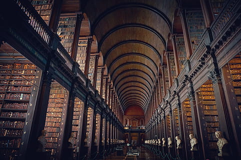structural photography of library interior, library interior HD wallpaper