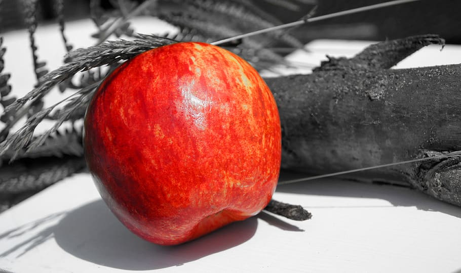 apple, fruit, red, map, food, healthy eating, food and drink HD wallpaper
