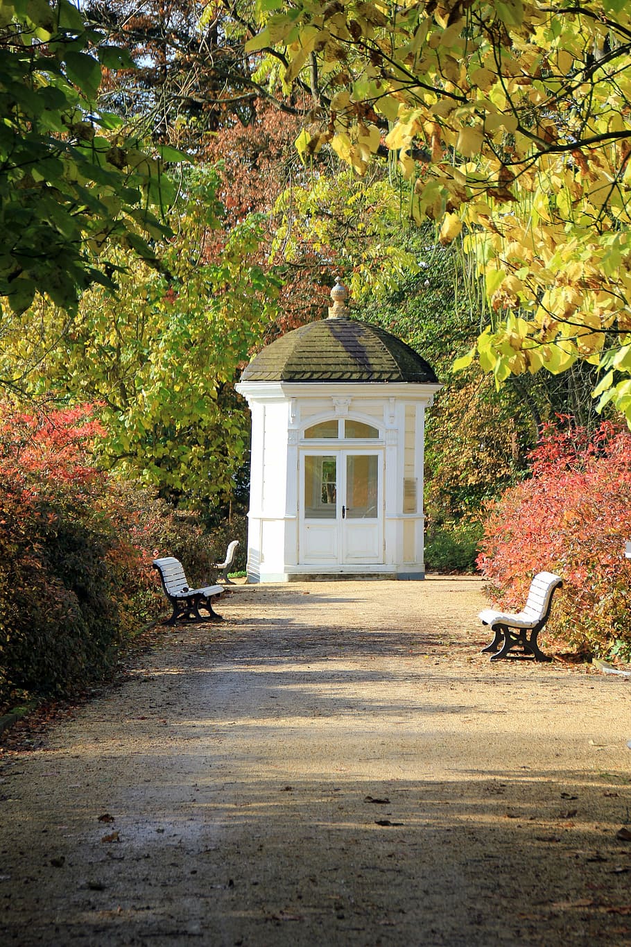 way, path, park, pavilion, autumn, tree, trees, bank, benches HD wallpaper