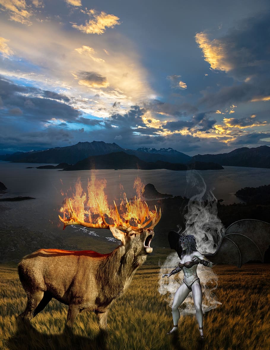 deer, fire, burn, flame, smoke, sunset, sky, mountain, animal HD wallpaper