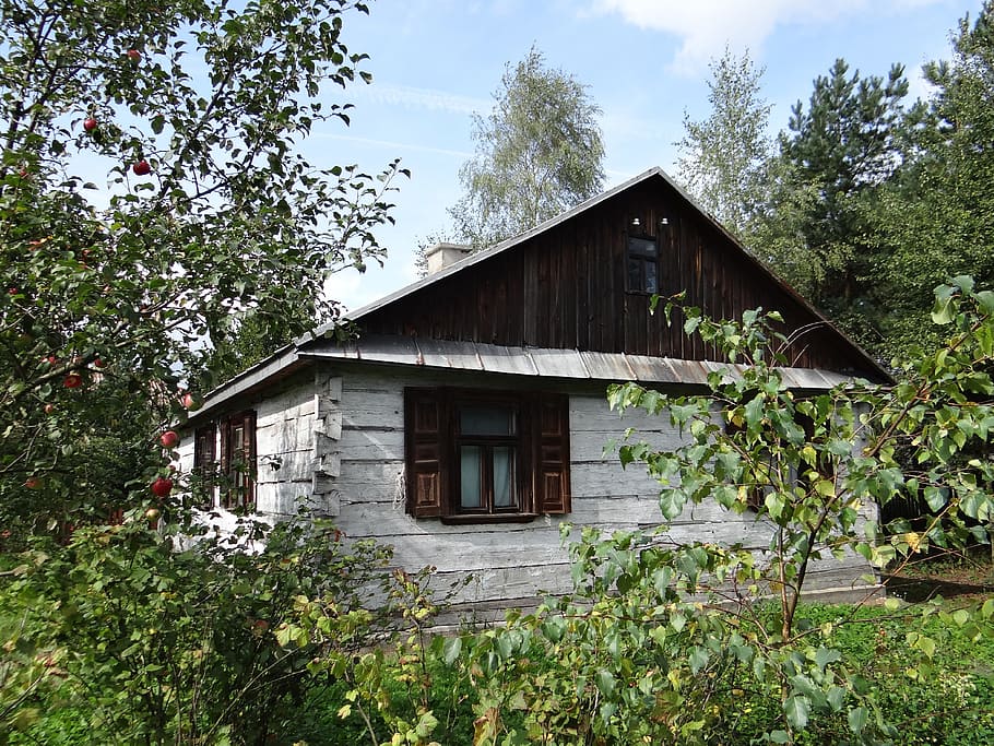 cottage, garden, vesnice, tree, sad, apples, old cottage, monument HD wallpaper