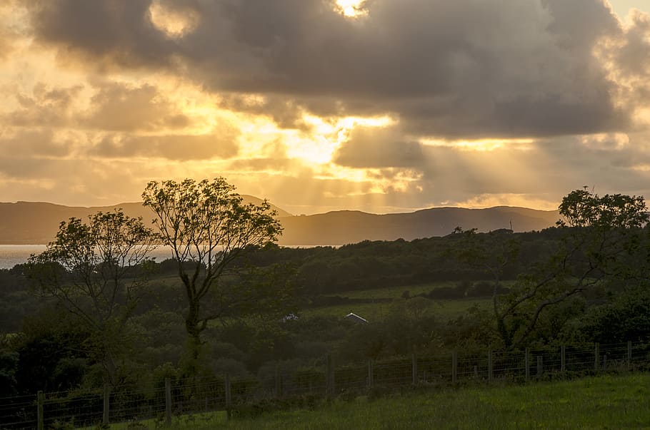 Heavens, Light, Sunlight, Tree, sky, bright, heavenly, clouds HD wallpaper