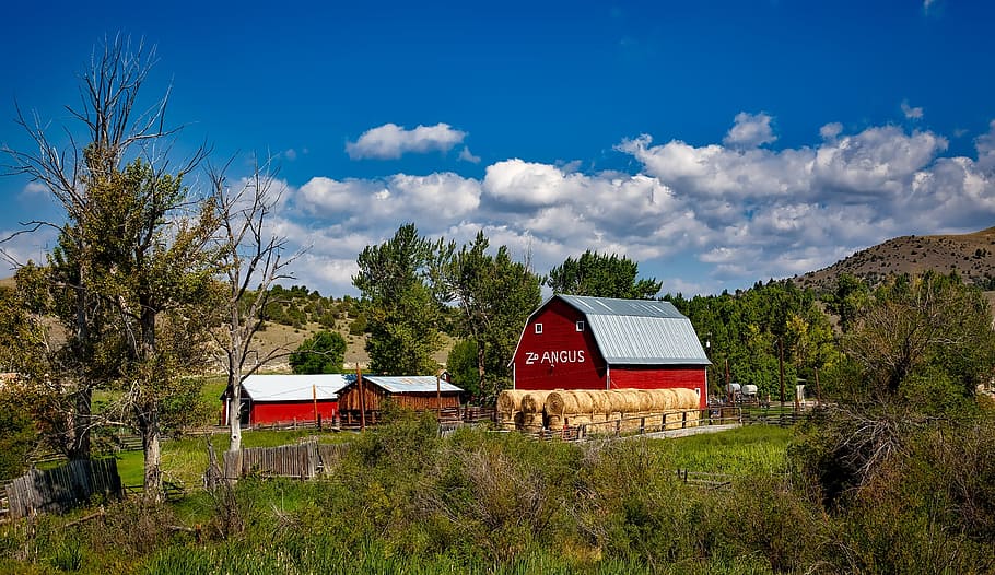 Free download | HD wallpaper: red barn surrounded by trees under white ...