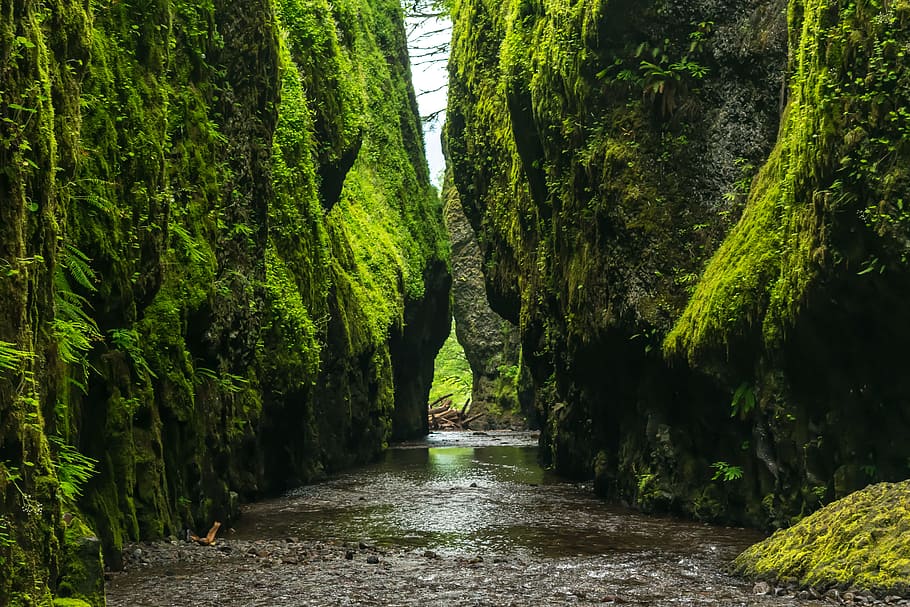 landscape photo of body of water in between green and brown cliffs, body of water between stones, HD wallpaper